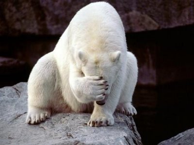 polarbearfacepalmthumbnail-1.jpg