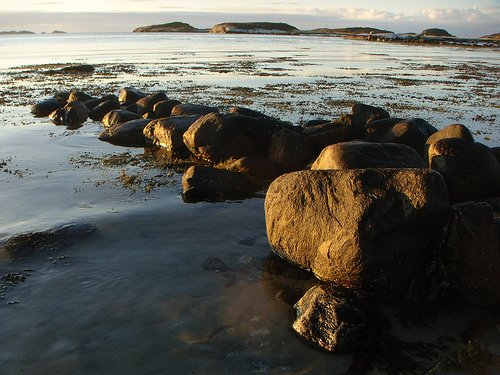 3093732584_168cb365ff-1.jpg