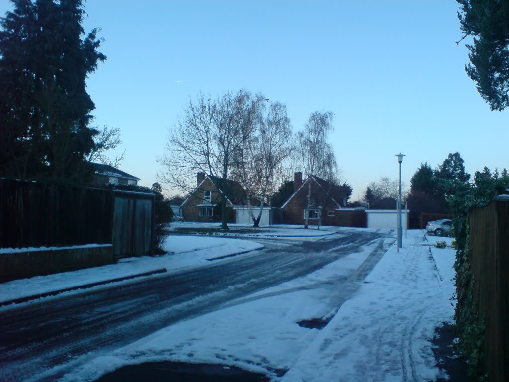 DSC00285-1.jpg