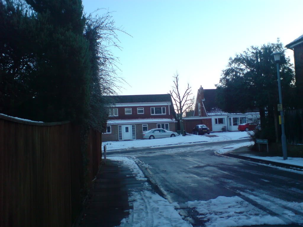 DSC00286-1.jpg