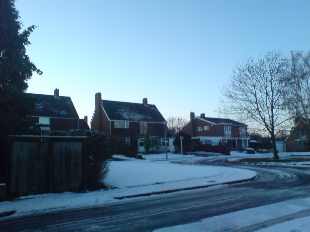 DSC00287-1.jpg