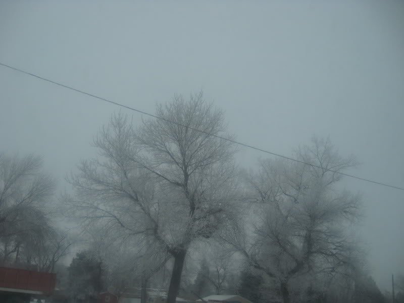 IMG_3213-1.jpg