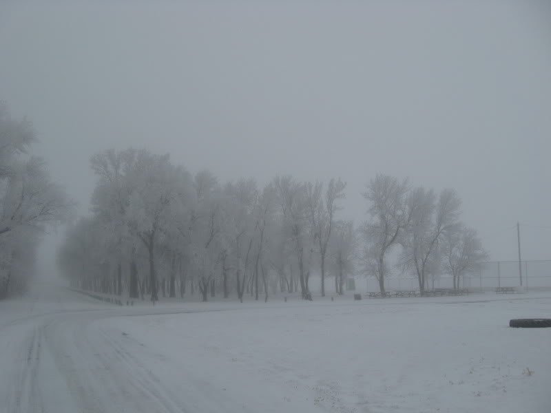 Picture006-1.jpg