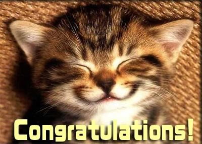catcongratulation 1 - Please Congratulate Gossamer Skye's 10,000 POSTS !!