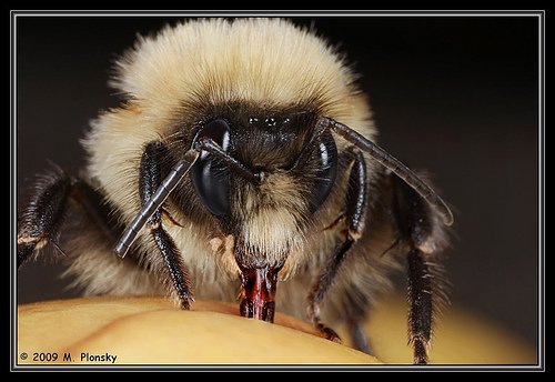 3571327189_a8ac09b5ef-1.jpg