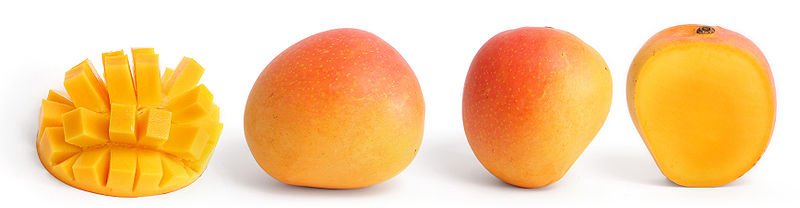 800pxMango_and_cross_sections-1.jpg