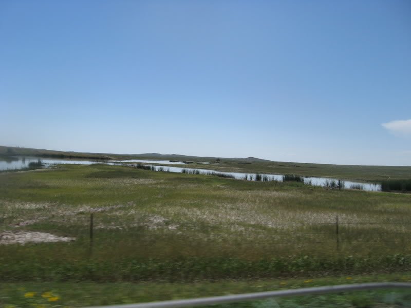 IMG_0428-1.jpg