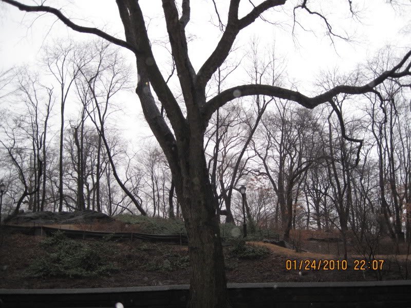 picture275-1.jpg