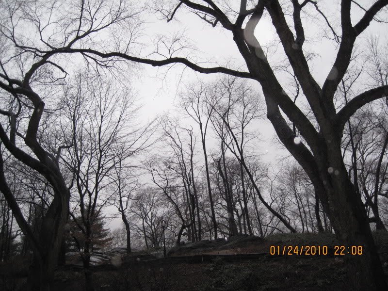 picture276x-1.jpg