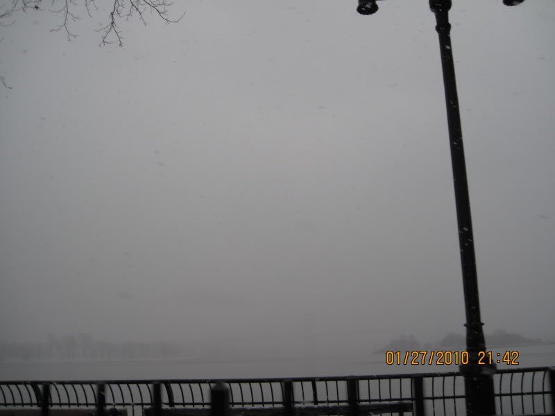 picture277z-1.jpg