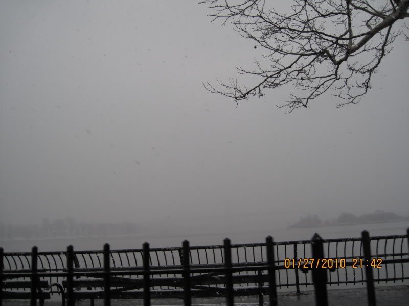 picture278d-1.jpg