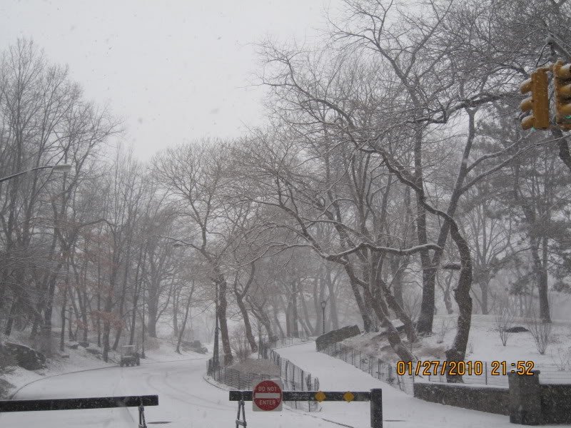 picture283m-1.jpg