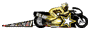 race-1.gif