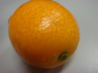 24thJan089-1.jpg