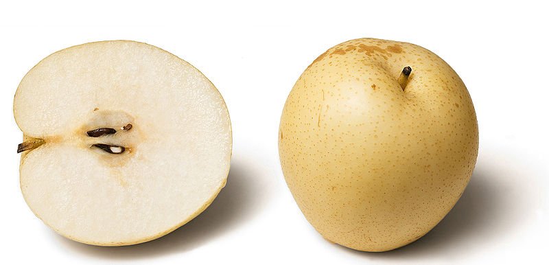 800pxPyrus_pyrifolia-1.jpg
