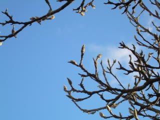 DSCN7699-1.jpg