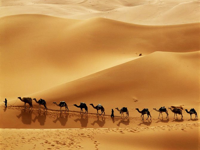 caravan 1 - Caravan in the Desert.