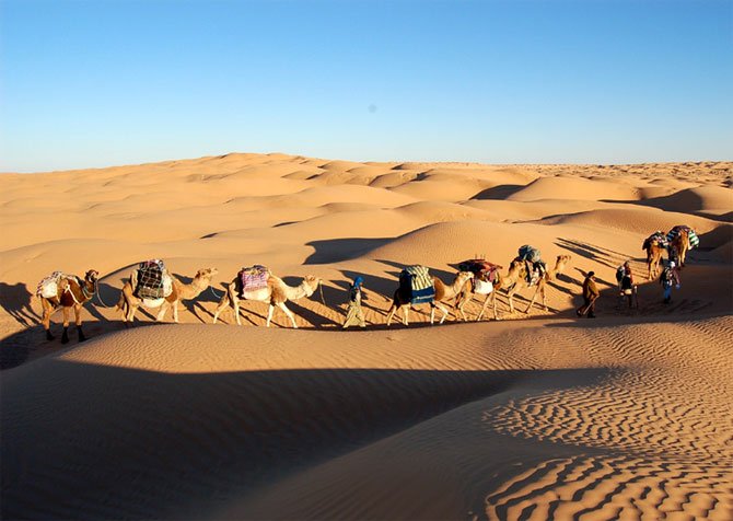 caravan20281529-1.jpg