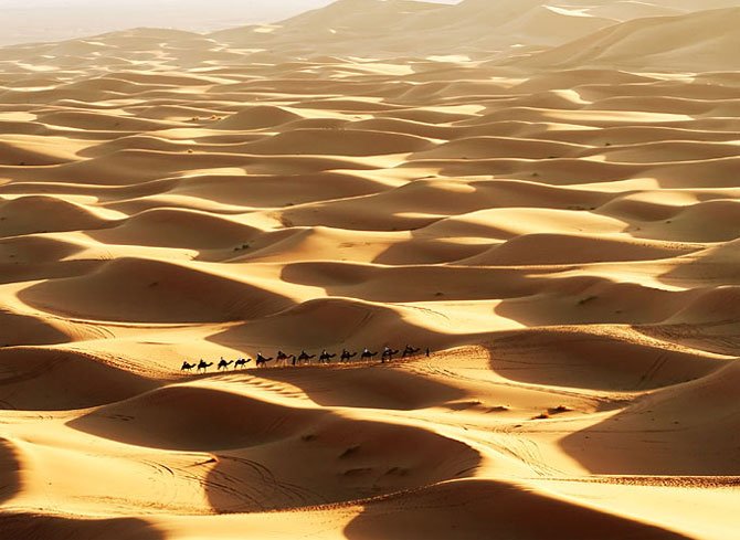 caravan2028229-1.jpg