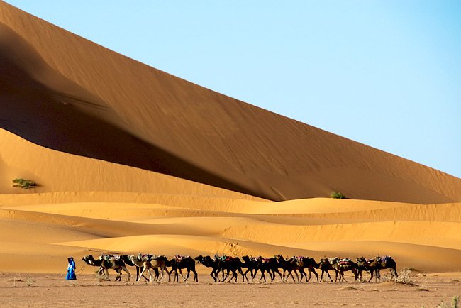 caravan2028429-1.jpg