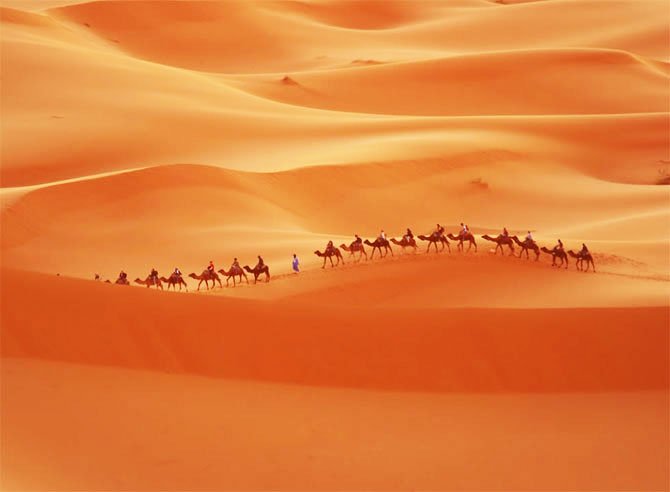 caravan2028629-1.jpg