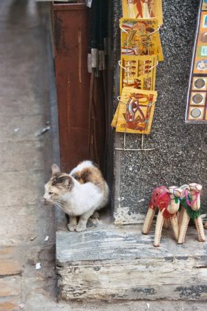 egypt017-1.jpg