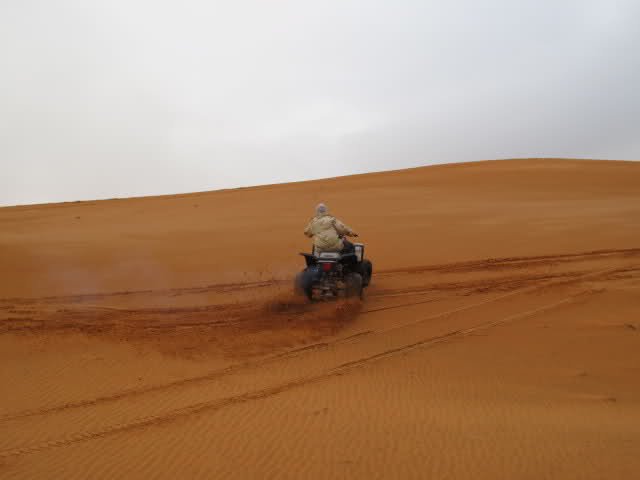 ixe1d3-1.jpg