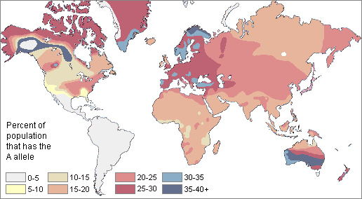 map of A blood allele 1 - Which blood type are you?