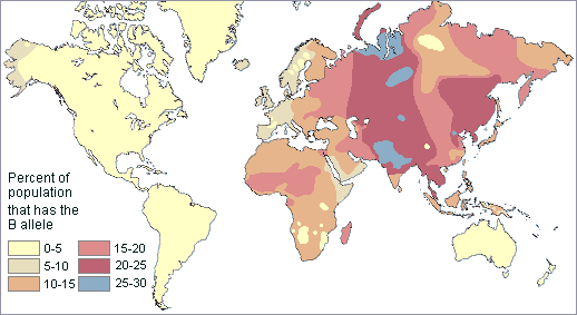 typeBbloodworldwidedistribution 1 - Which blood type are you?