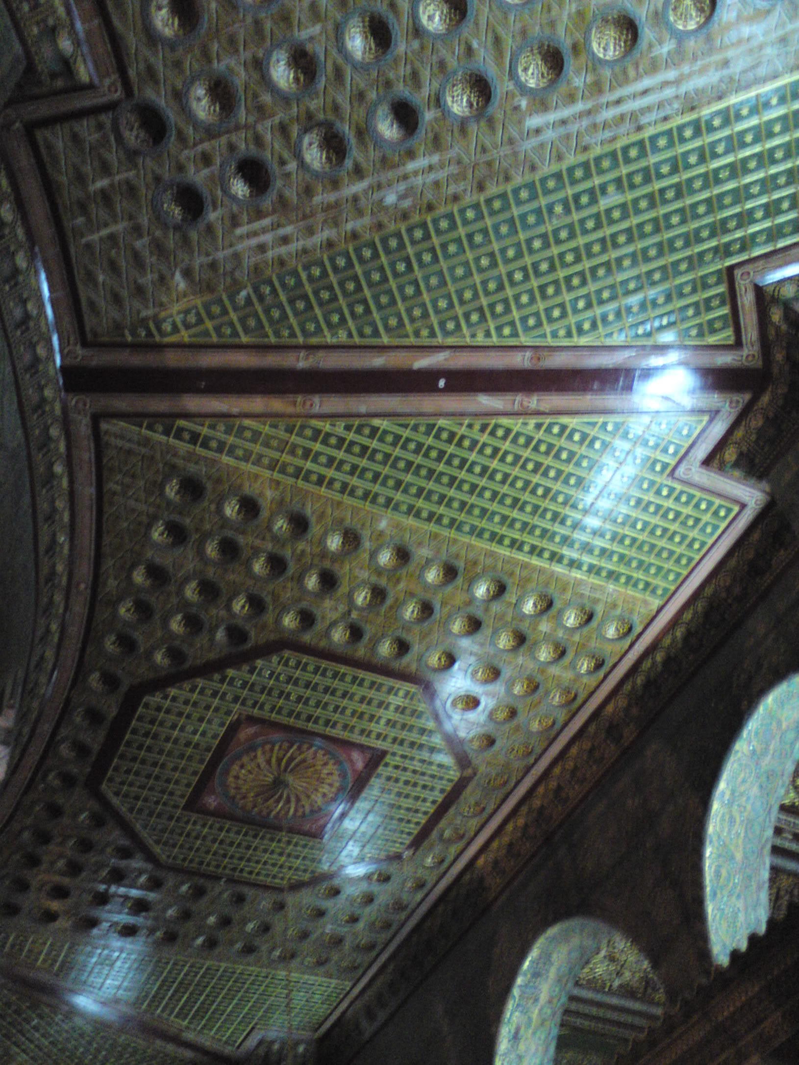 DSC00078-1.jpg