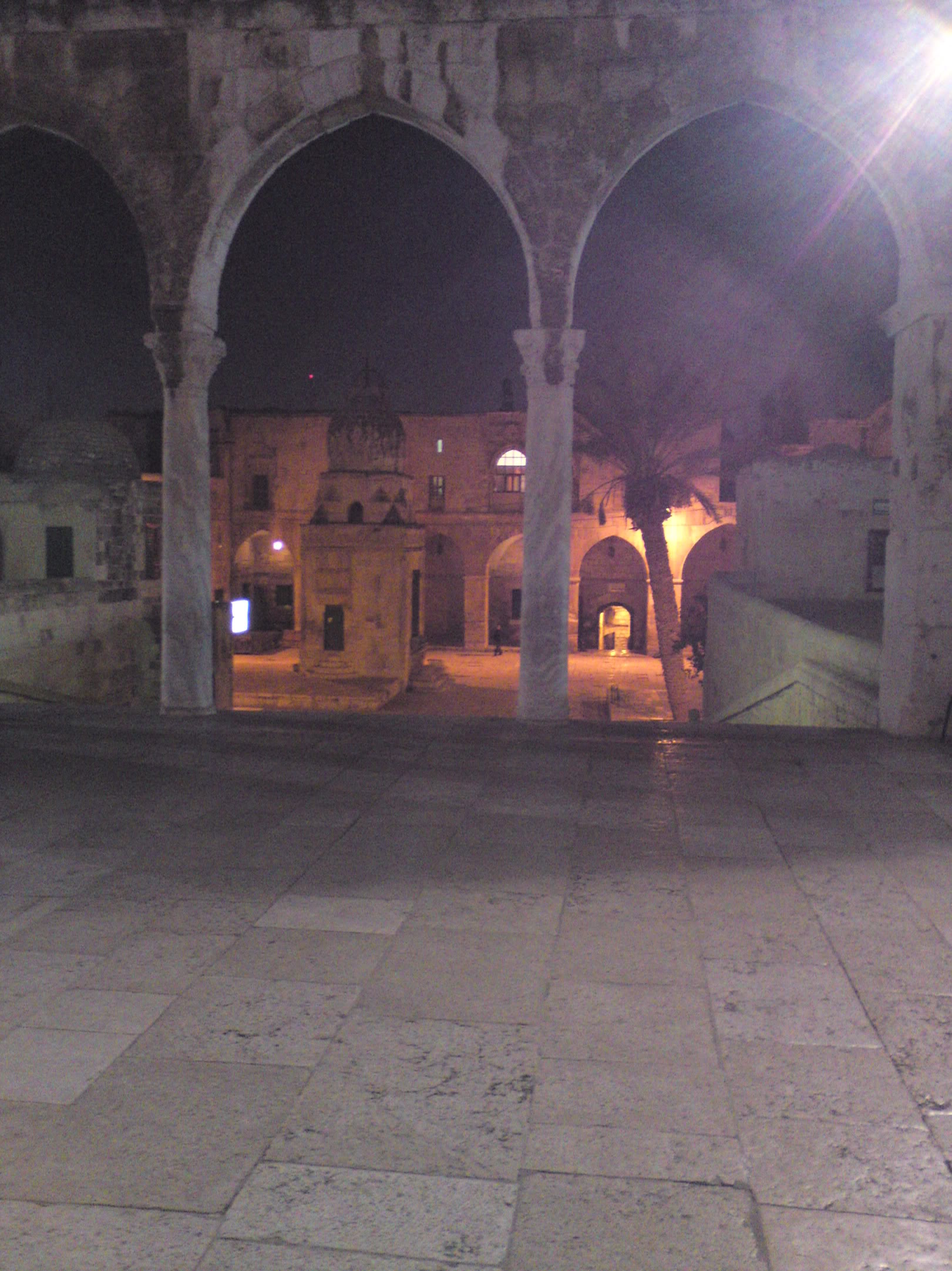 DSC00081-1.jpg