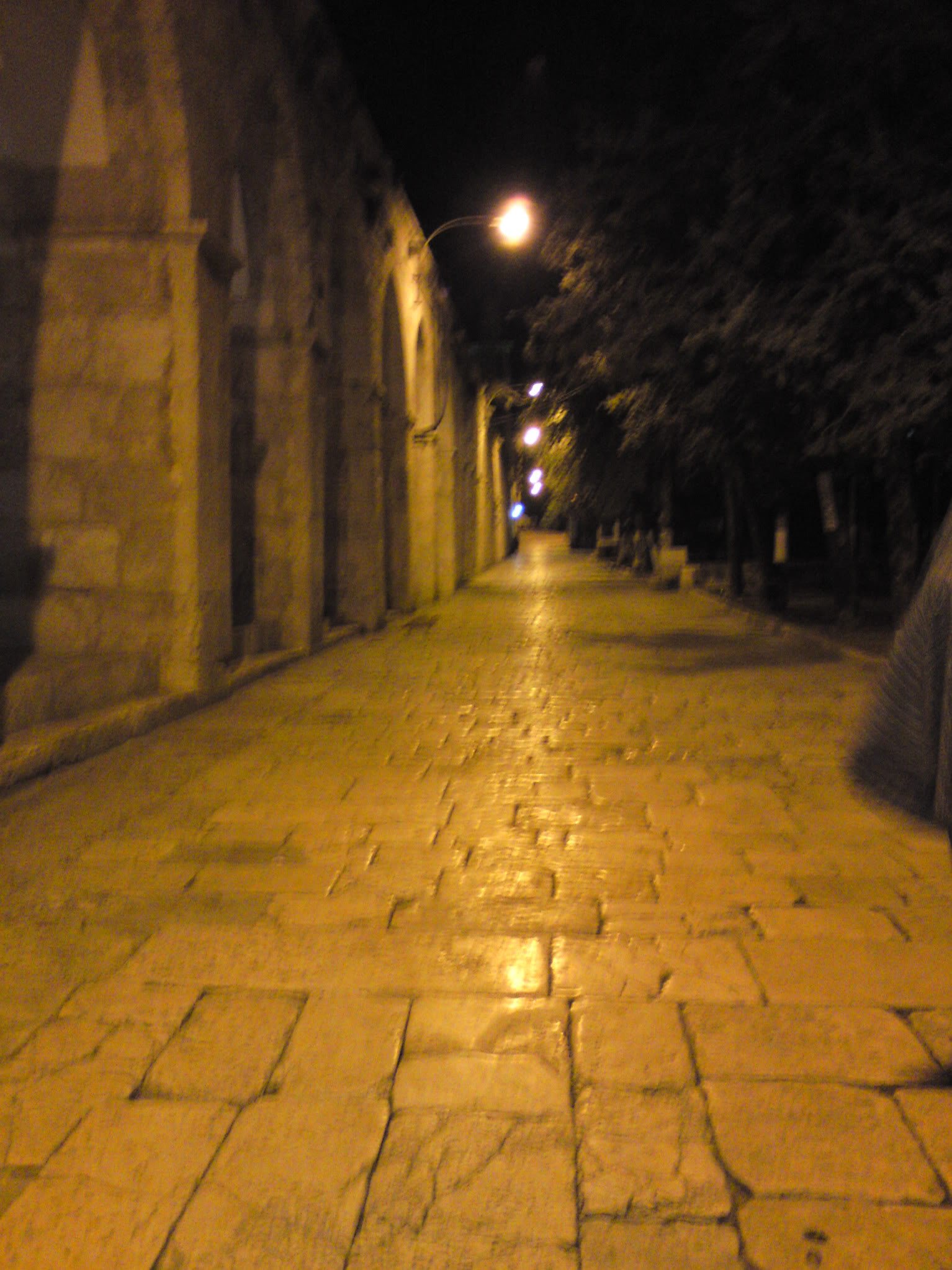DSC00091-1.jpg
