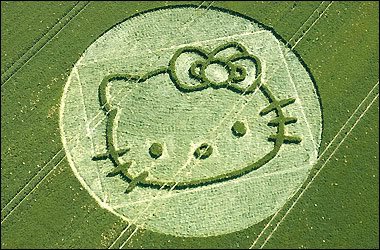 crop8 817663a 1 - Cropcircles. Is there an islamic view on this?