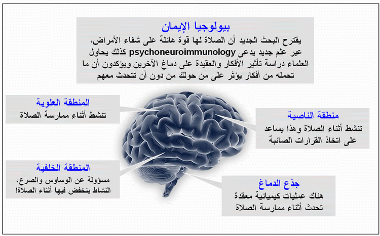 prayerbrainactive000GIF-1.gif