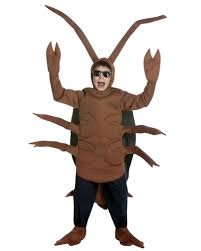 childcockroachhalloweencostume-1.jpg