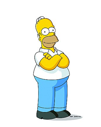 homersimpson-1.jpg