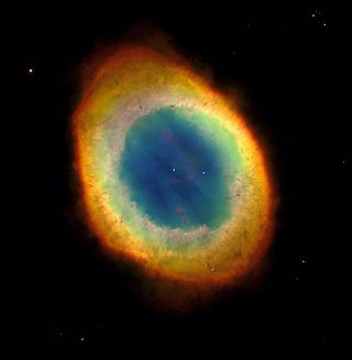 opo9901a-1.jpg