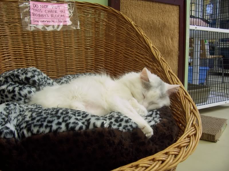 100_2502-1.jpg