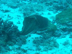 4573197571_9d8d14f0b6_m-1.jpg
