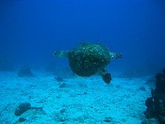 4573214657_11b5cdf283_m-1.jpg