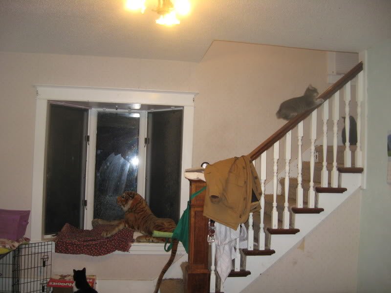 IMG_1127-1.jpg