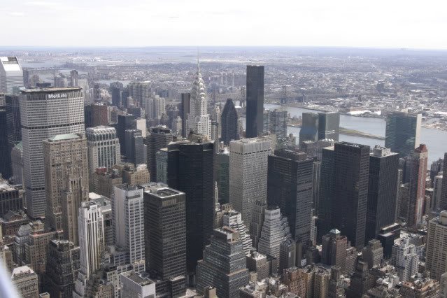 NYCSkyline1-1.jpg
