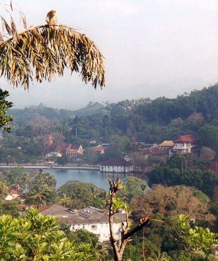 Srilanka_kandy_lake-1.jpg