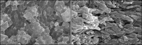 _47189095_melanosomes_composite-1.jpg
