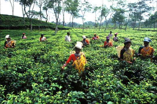bangladesh-1.jpg