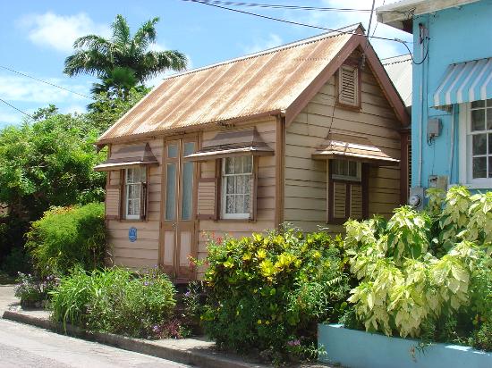 barbados20bugelow-1.jpg