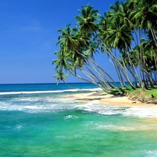 beach_sri_lanka-1.jpg