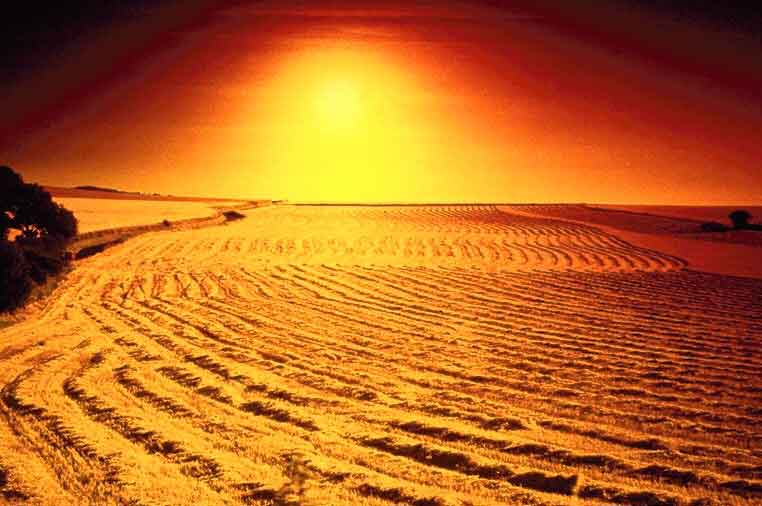 desert1_opt-1.jpg