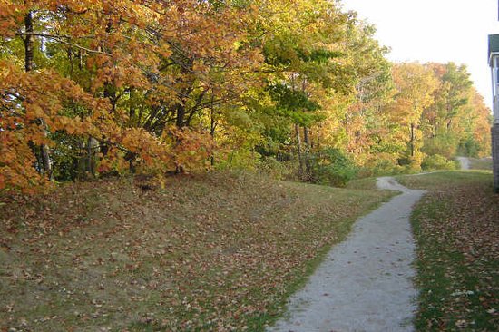 fall-1.jpg
