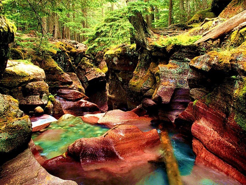 forests_016-1.jpg